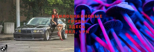 не бодяженный Новокубанск