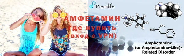 прущие грибы Няндома