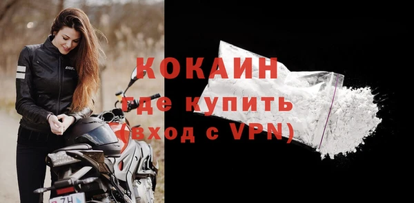 прущие грибы Няндома