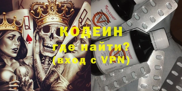 прущие грибы Няндома