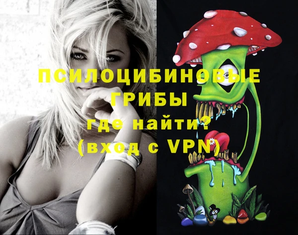 прущие грибы Няндома