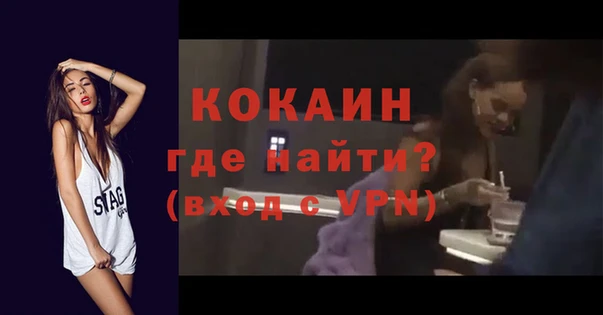 прущие грибы Няндома