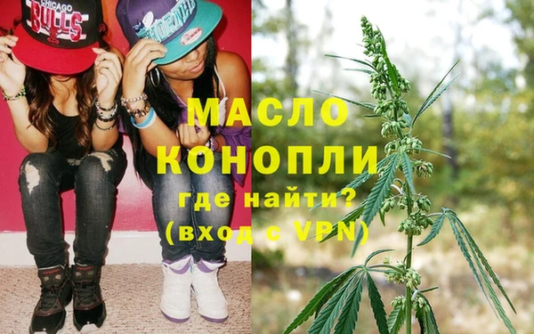 прущие грибы Няндома