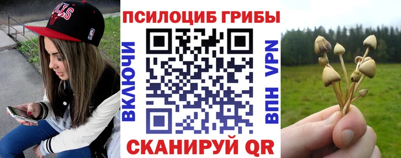 Псилоцибиновые грибы Cubensis  Тихвин 