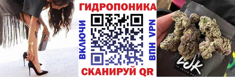 Шишки марихуана планчик  Тихвин 